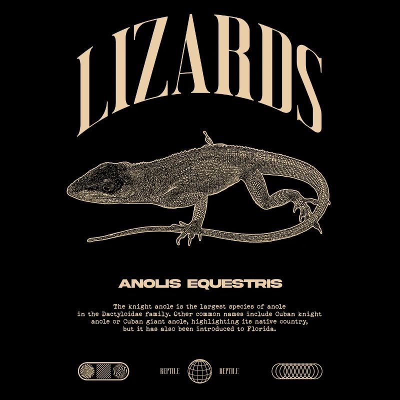 Kubanischer Ritter Anole Reptilienhalter Eidechse
