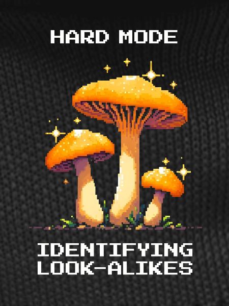 Hard Mode: Determining Doppelgangers | Fungi
