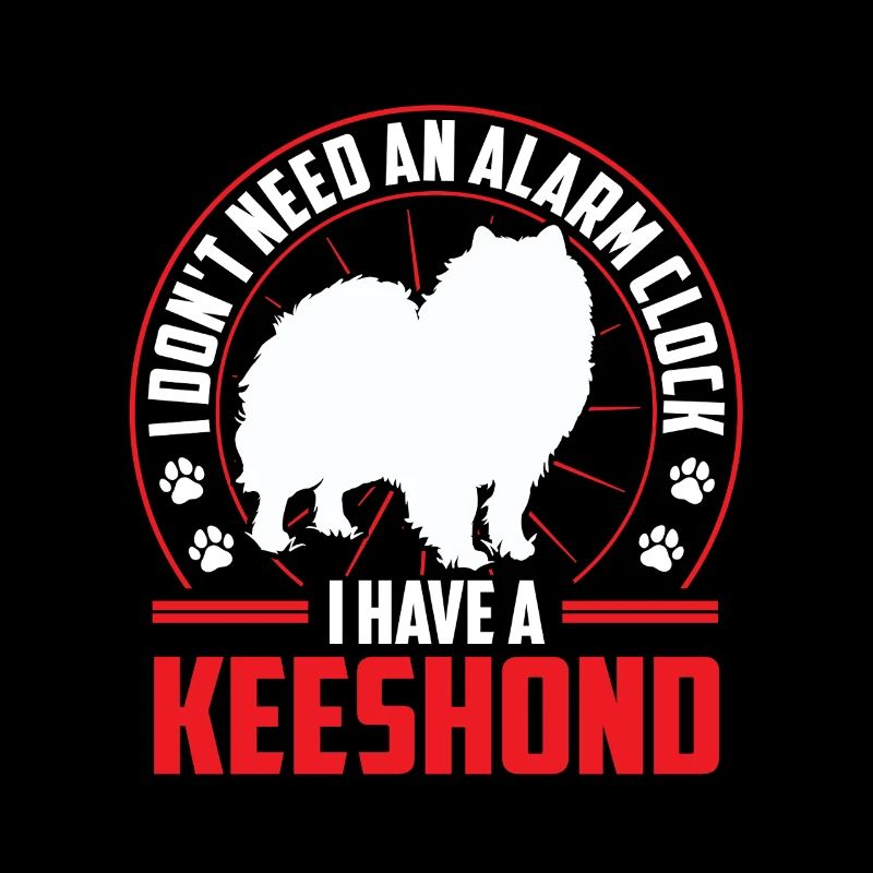 Wolfspitz is alarm German Wolfspitz
