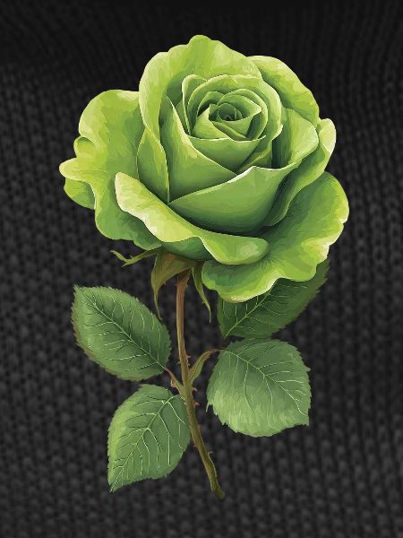 Green Rose
