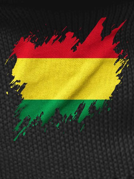 Bolivian flag, torn style