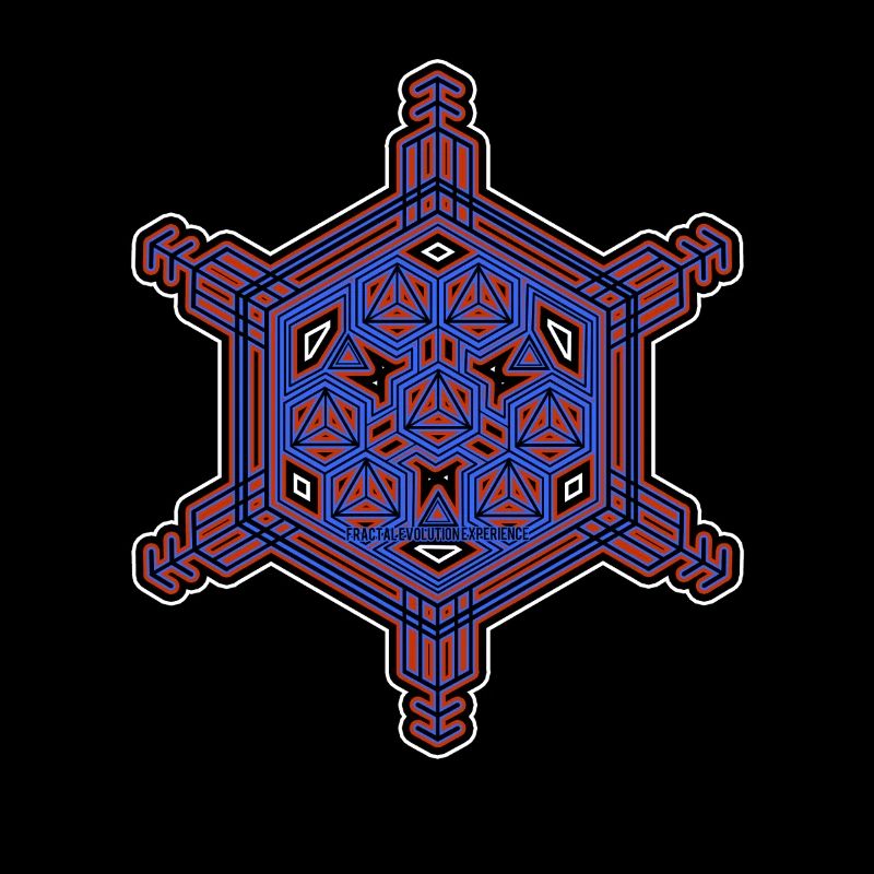 Fractal Evolution Experience Star Hexagon Pattern