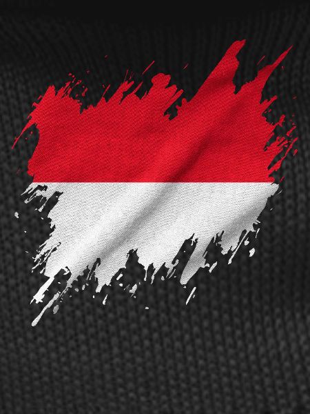 Indonesian flag, torn style