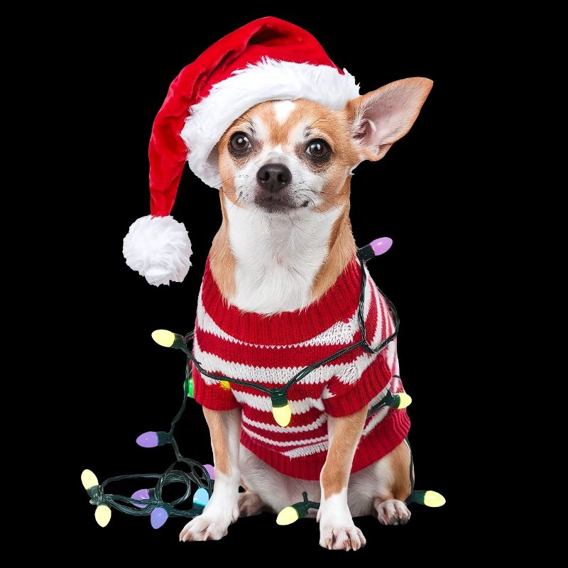 Chihuahua Weihnachten Weihnachtspullover Hund süß