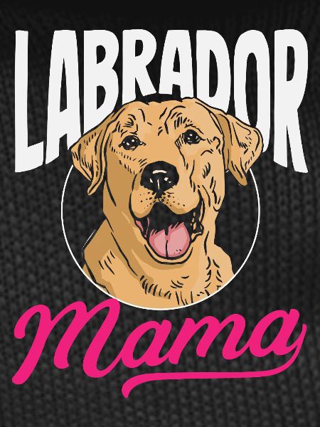 Labrador Tricks