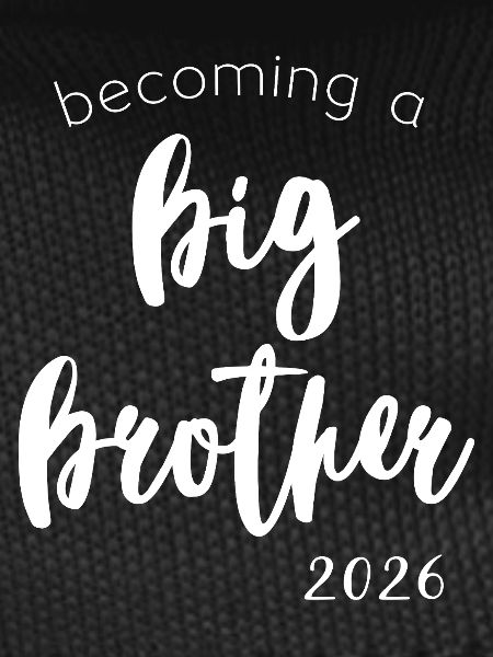 Become a Big Brother 2026