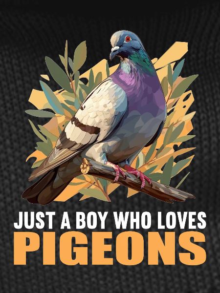 Pigeons Pigeon