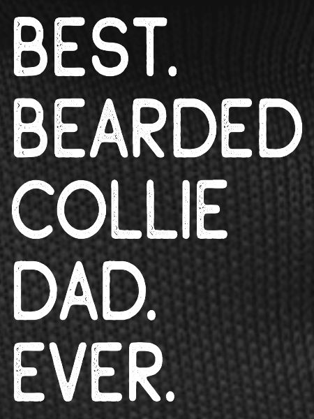 Bearded Collie