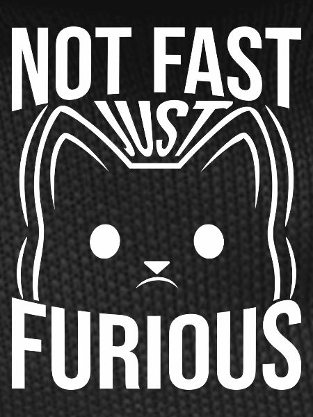 Not Fast Just Furious
