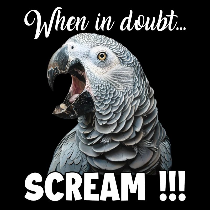 Screaming African grey parrot T, funny parrot