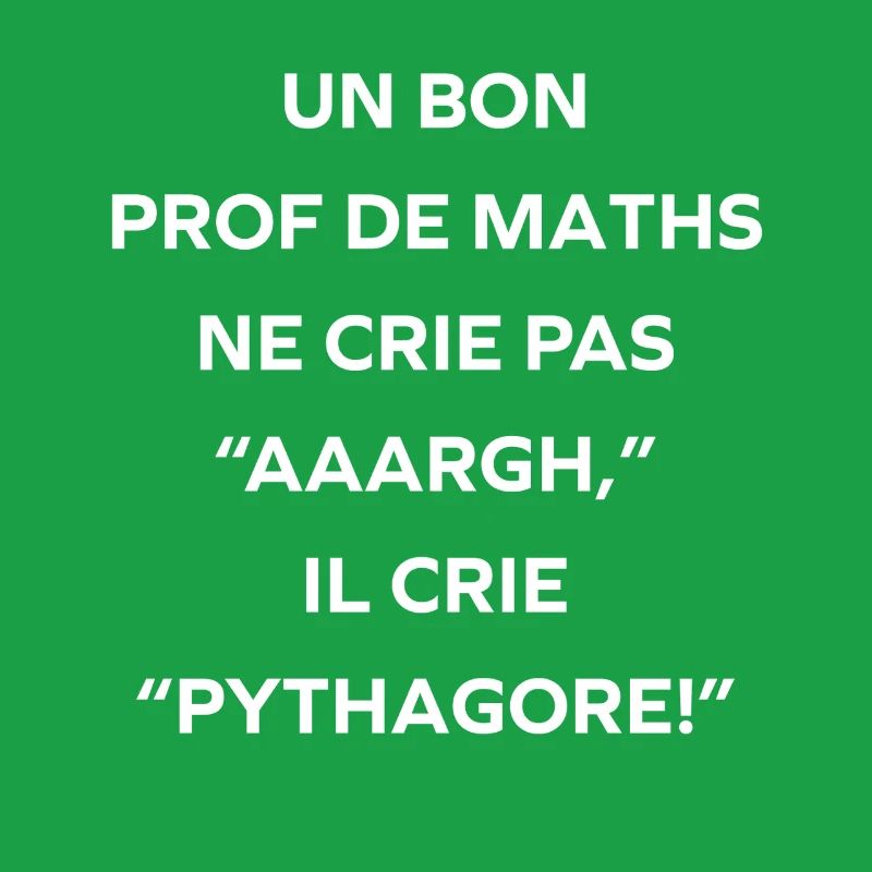 Prof de maths crie Pythagore
