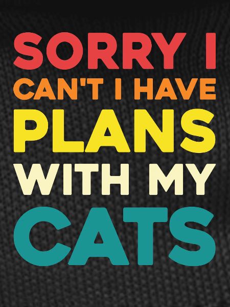 No plans without cats