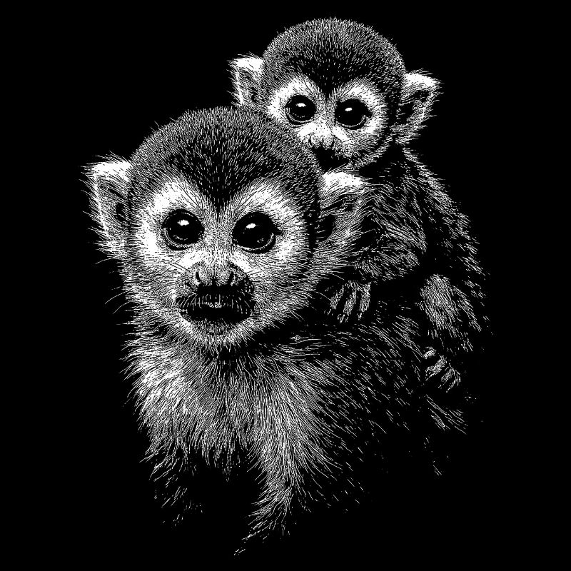 Singe écureuil