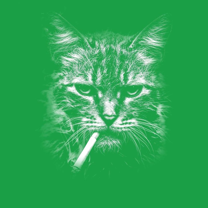 Rauchen, Zigarette, Katze raucht eine Zigarette