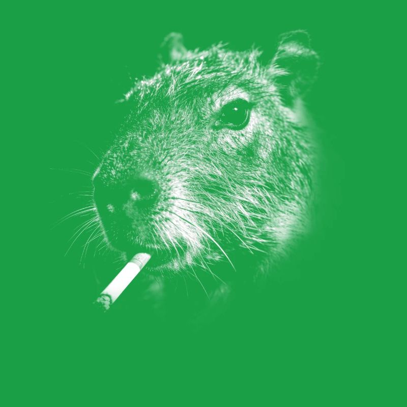 Smoking, cigarette, capybara smoking a cigarette