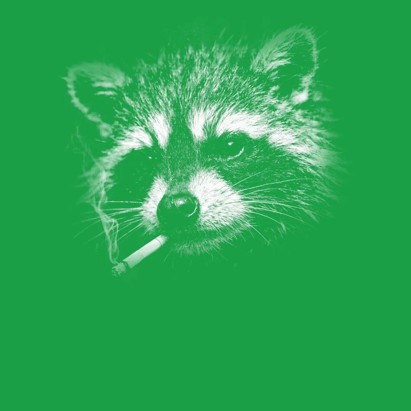 Rauchen, Zigarette, Waschbär raucht eine Zigarette