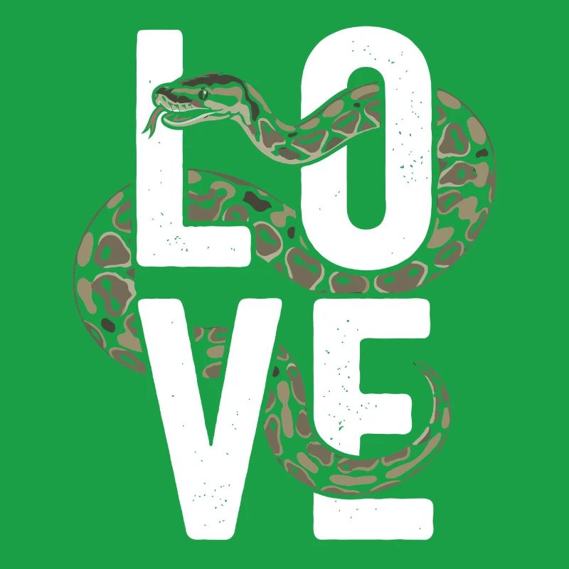 King Python Snakes LOVE Terrarium Python