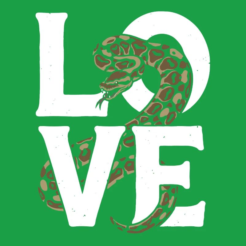 King Python Snakes LOVE Terrarium Python