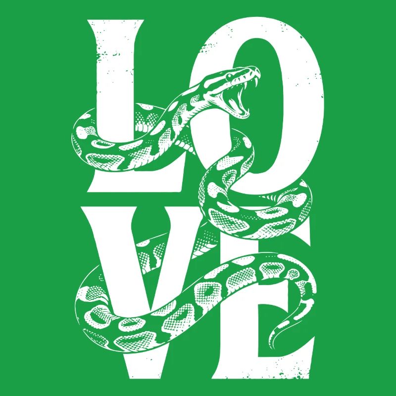 King Python Snakes LOVE Terrarium Python