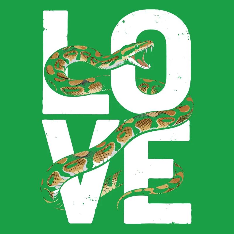 King Python Snakes LOVE Terrarium Python