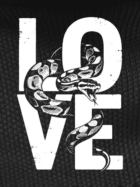 Königspython Schlangen LOVE Terrarium Python