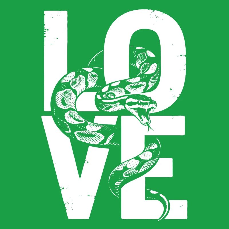 Les serpents rois Python ADORENT les pythons de terrarium