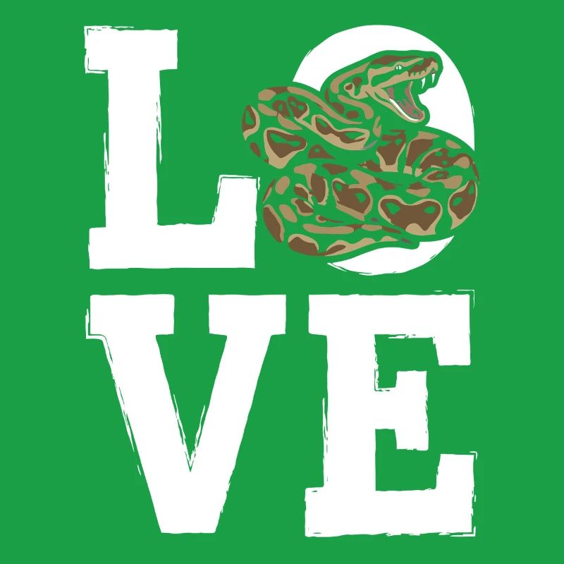 Les serpents rois Python ADORENT les pythons de terrarium