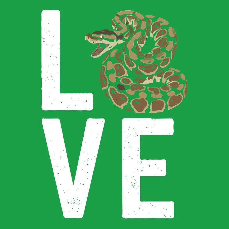 King Python Snakes LOVE Terrarium Python