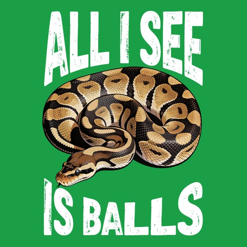 Python roi Serpents Amateurs de terrarium Python