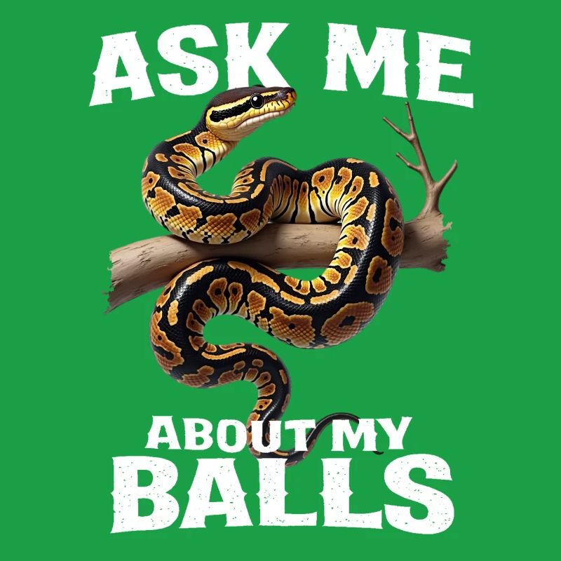 Python roi Serpents Amateurs de terrarium Python
