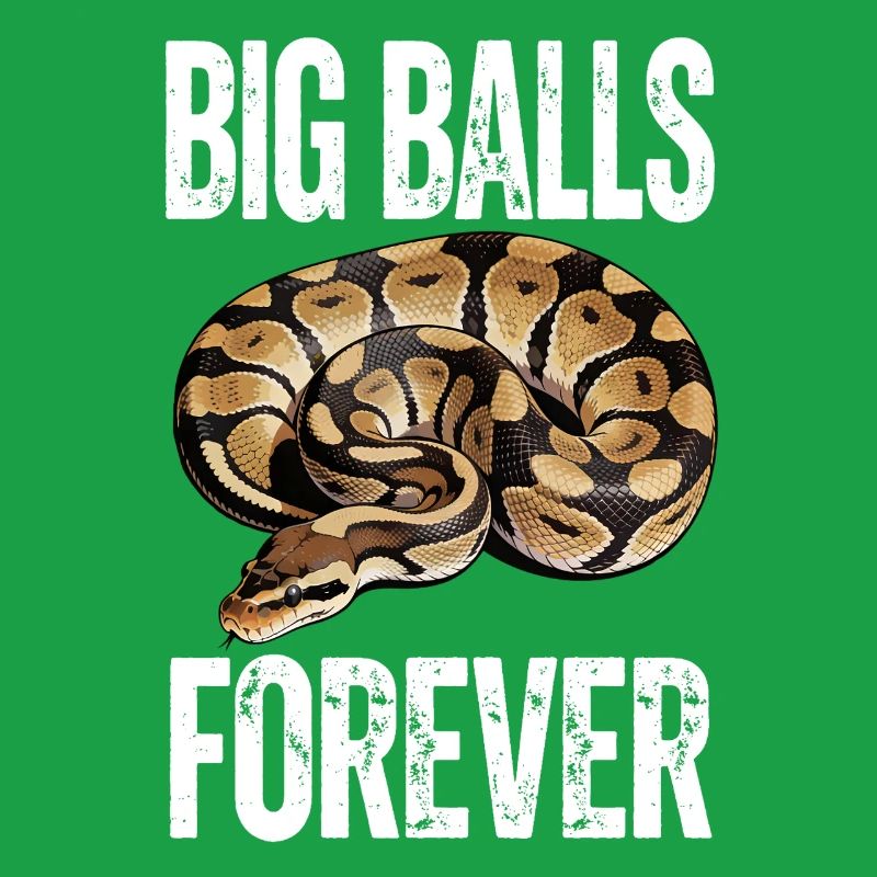 King Python Snakes Lover Terrarium Python