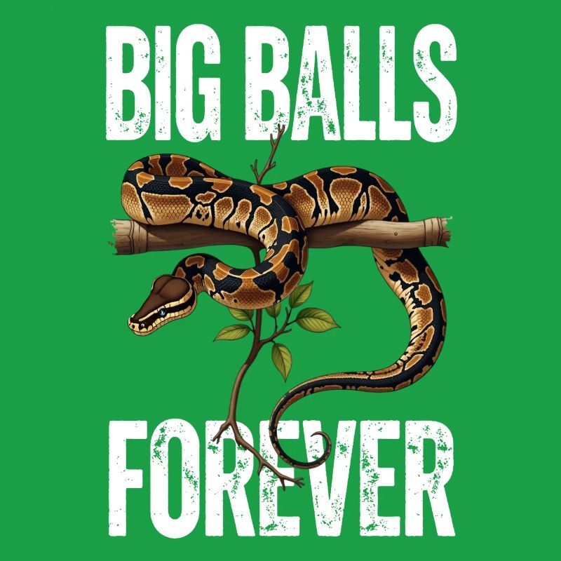 King Python Snakes Lover Terrarium Python