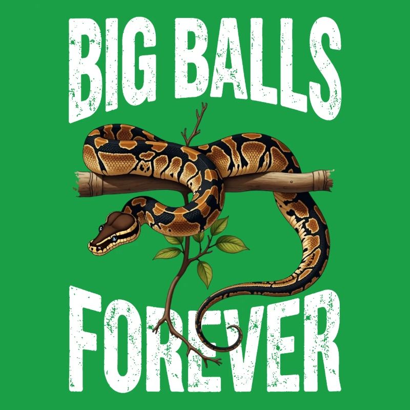 King Python Snakes Lover Terrarium Python