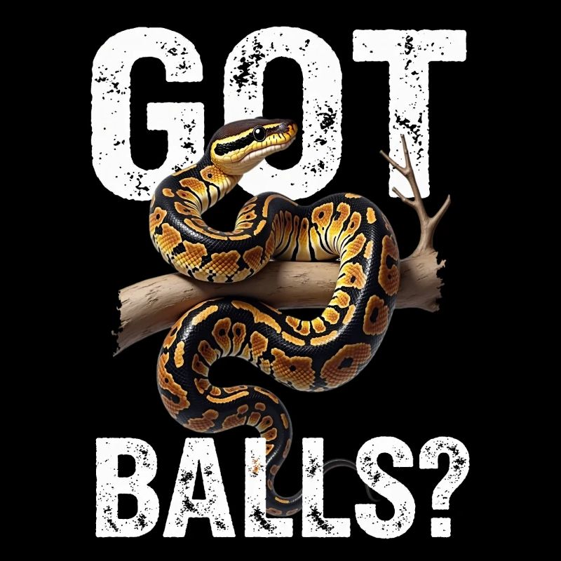 King Python Snakes Lover Terrarium Python