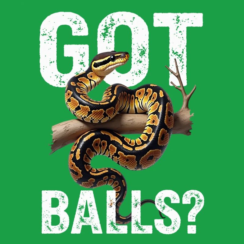 Python roi Serpents Amateurs de terrarium Python