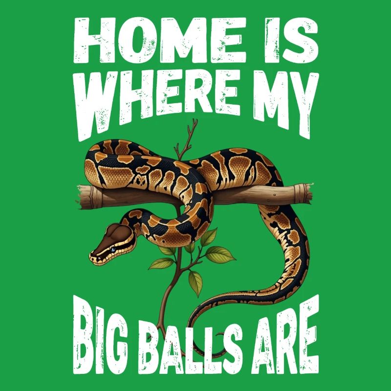 Python roi Serpents Amateurs de terrarium Python