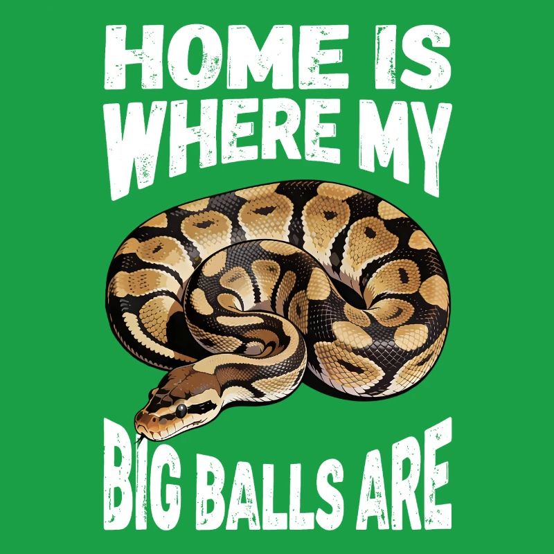 Königspython Schlangen Liebhaber Terrarium Python