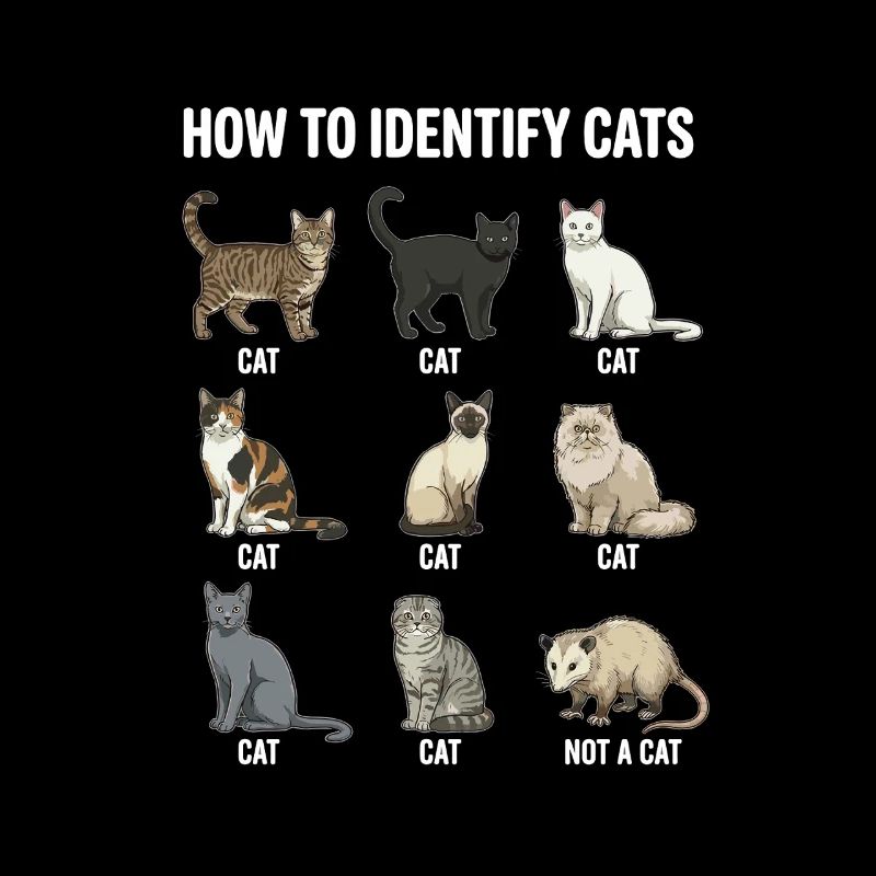 Cat Species Recognition Motif