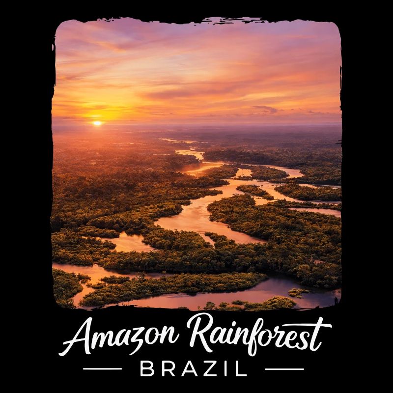 Rainforest Sunset Brazil