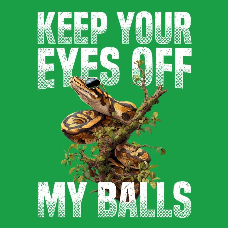 Königspython Schlangen Liebhaber Terrarium Python