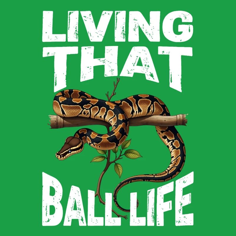 Python roi Serpents Amateurs de terrarium Python