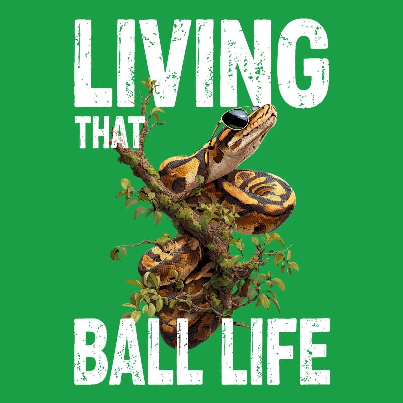 Python roi Serpents Amateurs de terrarium Python