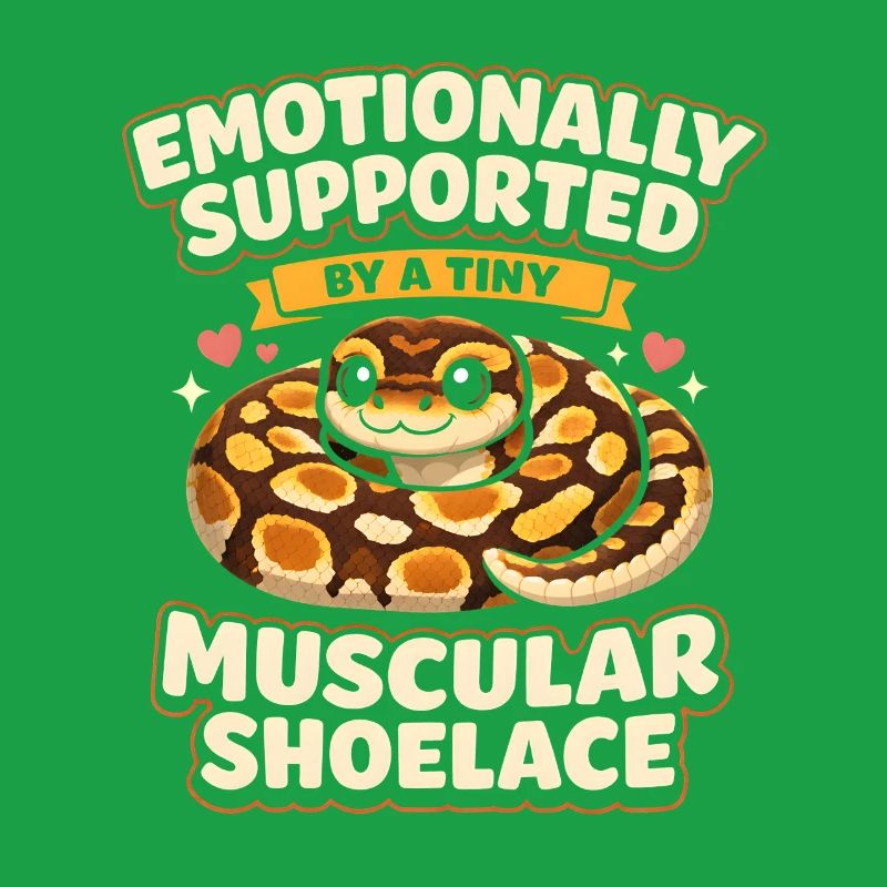 Lacets musclés | Humour du Python Roi