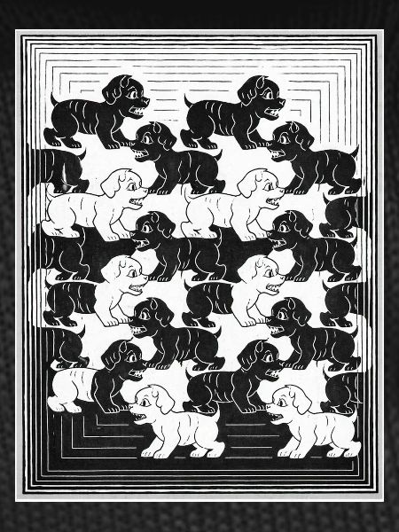 Dachshund Puppies in Monochrome Pattern