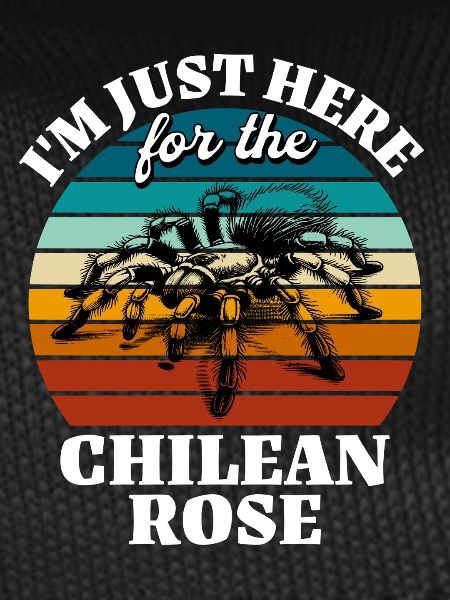 Funny Chile Tarantula Sayings