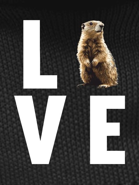 Marmottes Marmotte