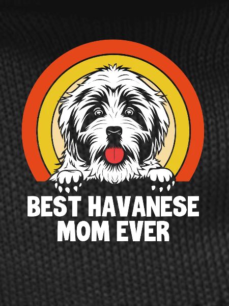 Havanese