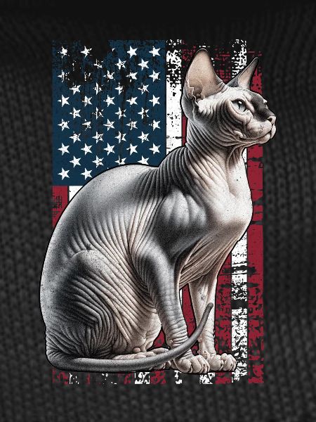 Sphynx Cat US Sphynxkatze