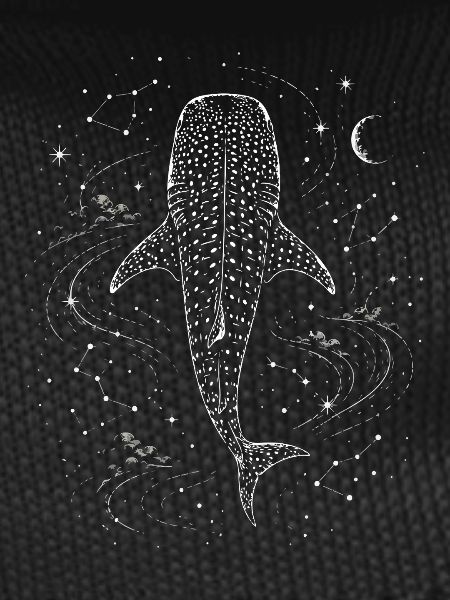 Whale Shark Galaxy Constellation Astro