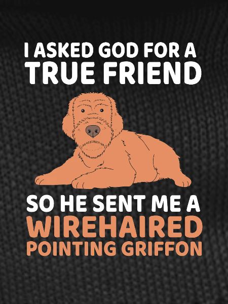 Griffon